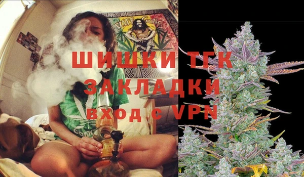 шишки Арсеньев