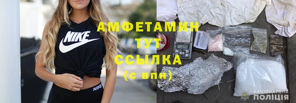 шишки Арсеньев