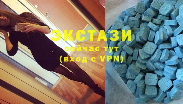 стаф Аркадак