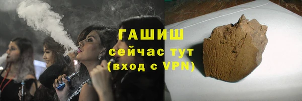 стаф Аркадак