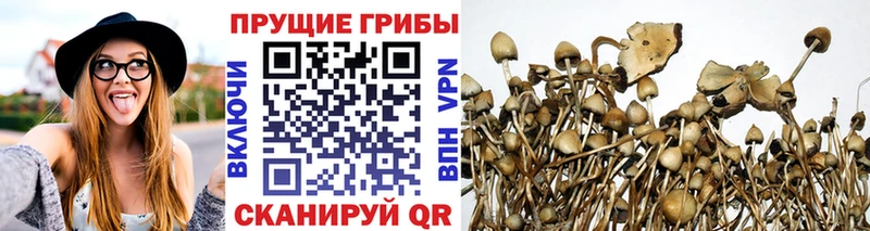 Галлюциногенные грибы GOLDEN TEACHER  Малоархангельск 